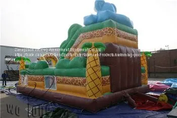 Wolong PVC Trapualin Inflatable Dry Slide, Inflatable Water Slides For Backyard photo-3