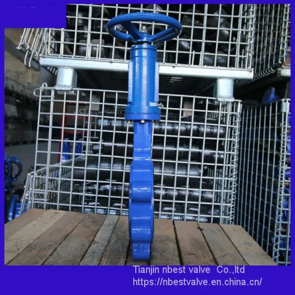 Vertical Wheel DIN Standard PN16 Vertical Gear Lug Butterlfy Valve DN150 photo-5