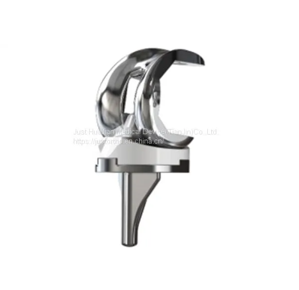High Flexion Total Knee System Reducing the Wear Effectively photo-2