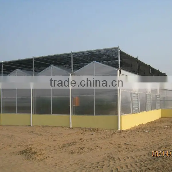 Commercial Multi Span Vegetable & Flower Greenhouse photo-2