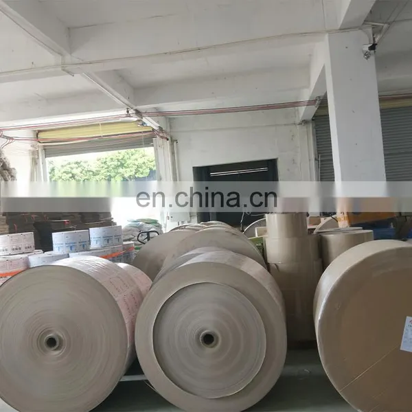 Profession Factory Wholesale High Quality Customized Printed Kraft Paper For Flying Glue Trap Fly Catcher Paper