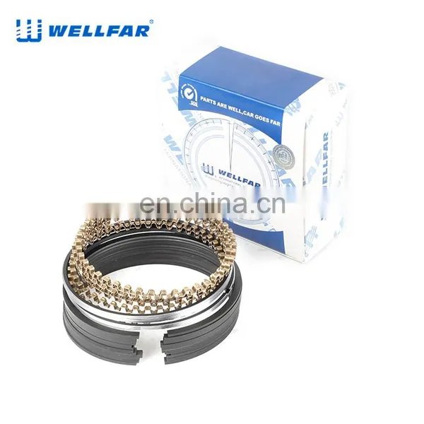 2M5615 Wellfar GM 350CID 5.7L Engine Piston Rings For GM BLAZER, C SERIES, CAPRICE, CENTURY, CHEVELLE, CUSTOM, CUTLASS Car photo-5