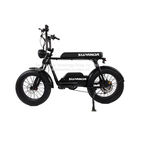 20inch 4.0tire With TPI Similar Motorcycle 7speed 4.0 Tire TPI Similar Motorcycle 7 Speed Similar Motorcycle photo-3
