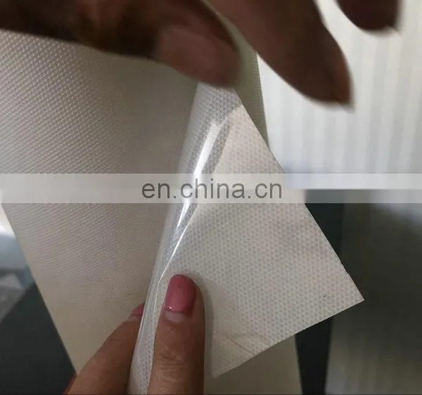 Hot Sale Good Quality Wholesale Mask Film/heat Transfer Film/protect Film for Printable Vinyl photo-4