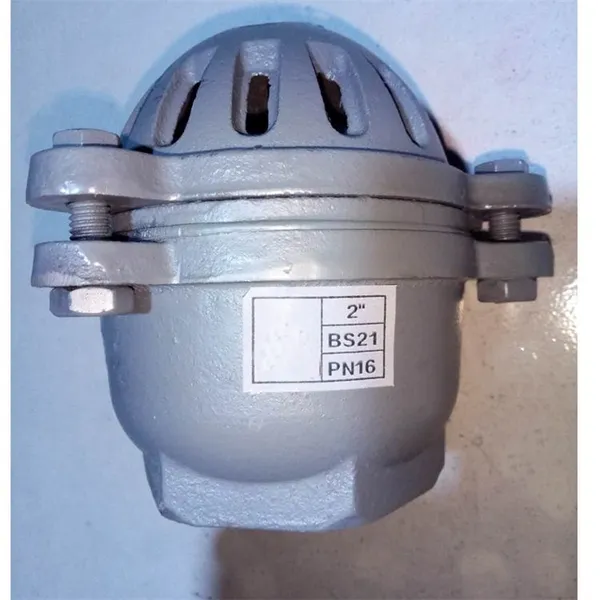 Cast Iron Threaded Foot Valve for Submersible Pumps, 1-1/4 Inch Size With Anti-Clog Design photo-4