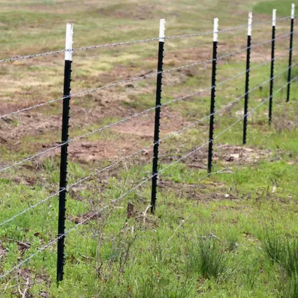 Australia Standard Heavy-Duty Hot-Dipped Galvanized Steel Star Picket T Post for Farm Fence Column photo-3