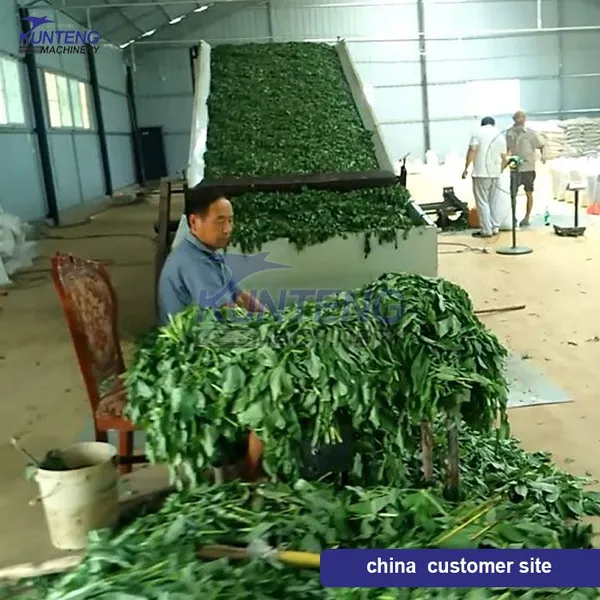 Industrial Mesh Belt Mint Leaves Sugarcane Leaf Moringa Leaves Drying Machine EPC photo-3