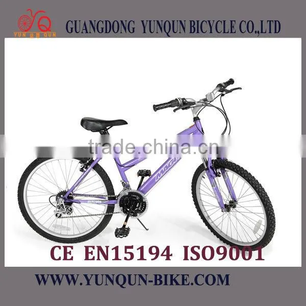 Mountain Bicycle