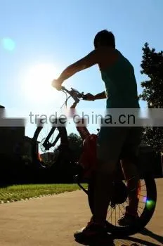 Seagull,kids Balance Motor Battery Range Extender Electric Bicycle photo-6