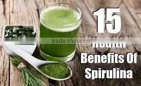 Health Food Spirulina Tablet/ Best Sells Spirulina Powder/ India Supplier Spirulina