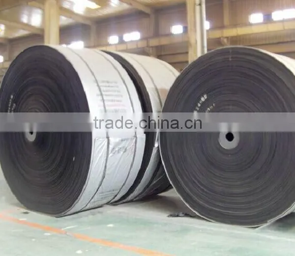 Economic Type Cheap High Capacity Conveyor Belt Price Popular Products in Usa photo-5