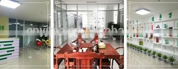 Organic Morning Green Tea Rich Vitamin Tea China Exporters photo-4
