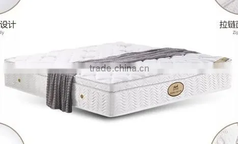 Best Selling Indoor Twin Size PU Foam Sport Mattress photo-3