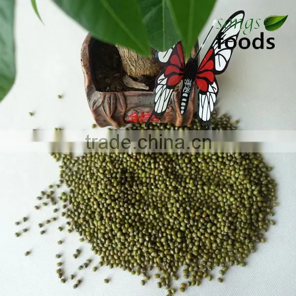 Lowest Price for Green Mung Beans