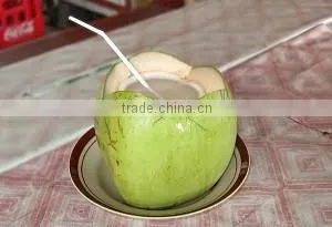 Coconut Water