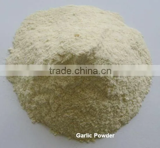 Natural Hot Sell Dehydrated Bulk Garlic Powder in China photo-4