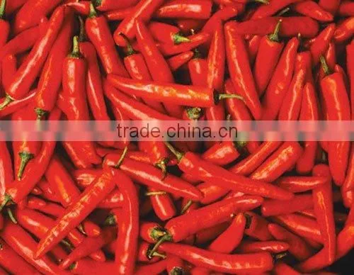 Red Chilly Whole