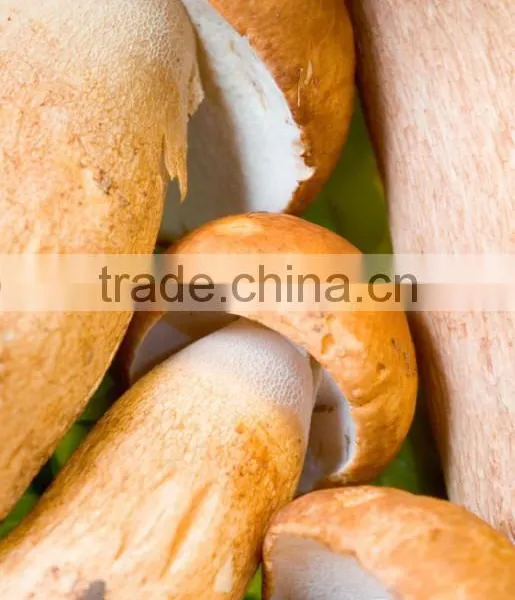 Detan Dried Porcini Mushrooms for Sale photo-6