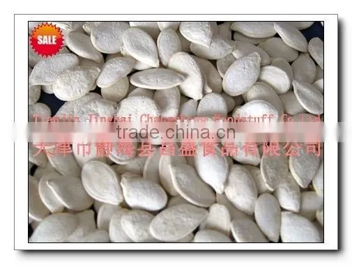 Roasted and Salted Pumpkin Seed (11cm,12cm,13cm) photo-4