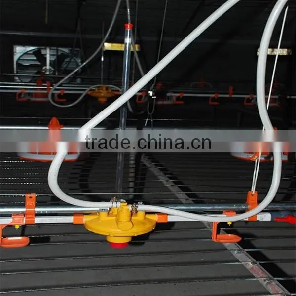 Chicken Broiler Raising Equipment photo-4
