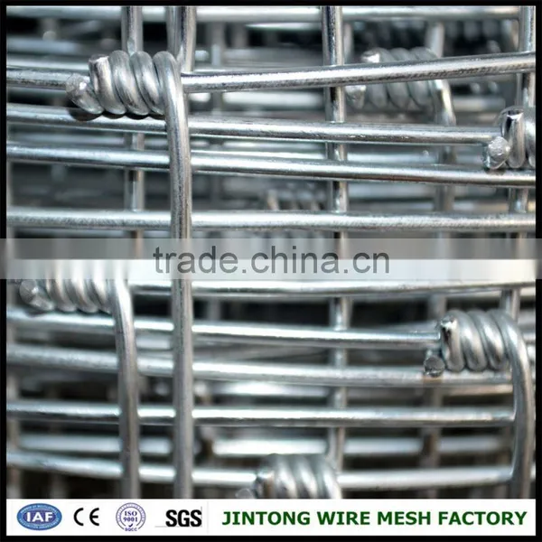 Galvanized Wire Mesh Fence Goat Fence Panel for Sale Hot Dipped Galvanized Cattle Fence photo-2