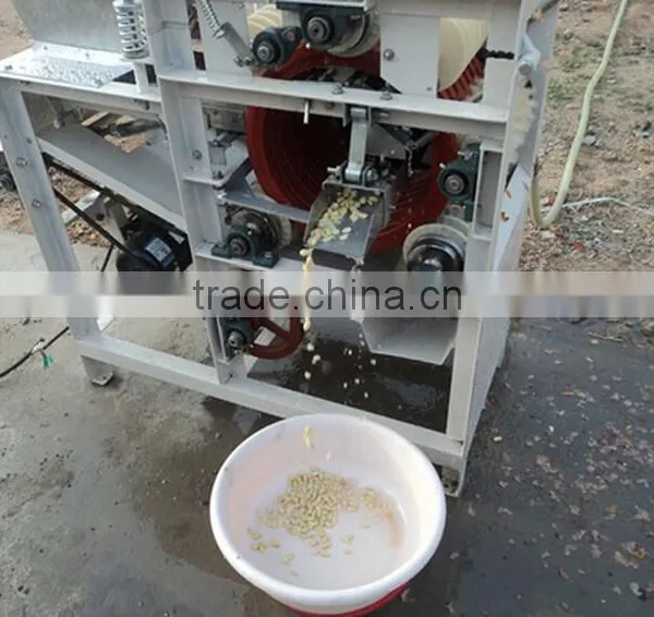 Wet Type Almonds Peeling Machine Peeler photo-2