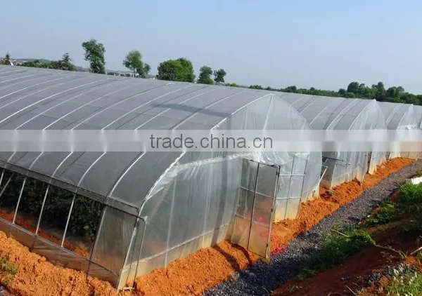 Tunnel Plastic Greenhouse Film Agriculture Greenhouse Poly Films photo-3