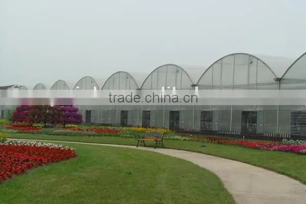 Modern Plastic Film Greenhouse With Steel Skeleton and Hot Drip Galvanized Bolt for Vegetable and Flower Grow for Hot Sale photo-4