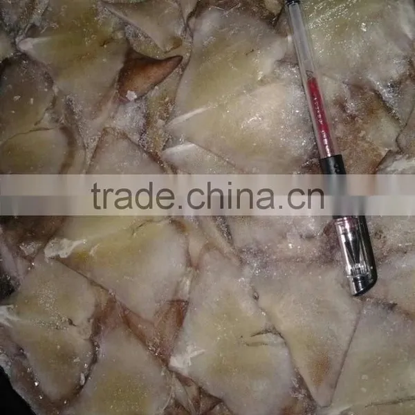 Frozen Gaint Sqiud Wing photo-2