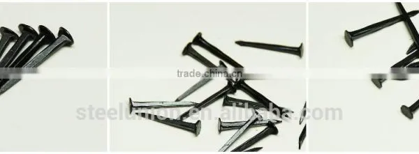 Shoe Tacks Product/shoe Tacks Nails/Linyi Nails photo-4