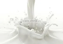 Bulk Milk Substitute Powder photo-2
