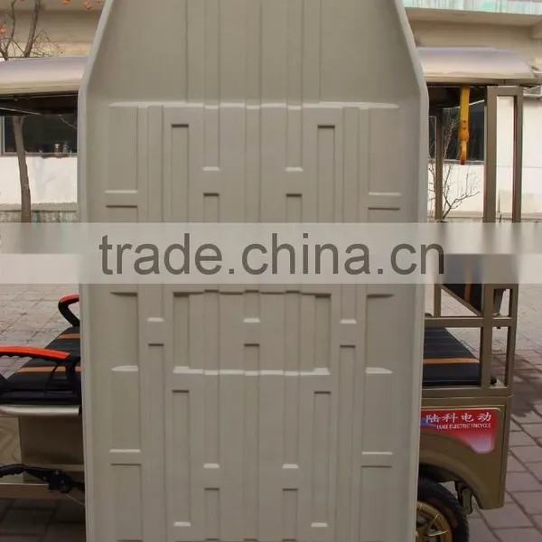 DC Motor Butterfly Model Battery Auto-Rickshaw photo-5