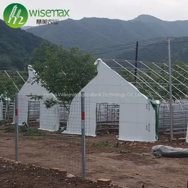 Hot Slae Agricultural Polythene Film Covered Mushroom Green House photo-2