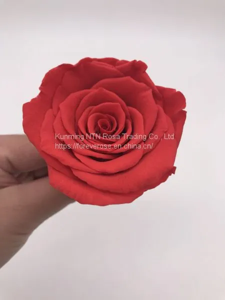 Preserved Flowers Wedding Bridal Bouquets Natural Eternal Roses photo-4