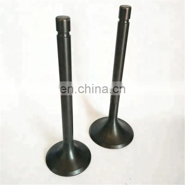 Truck Diesel Spare Parts Intake Exhaust Engine Valve for SCANIA DS9 DS9T DS11 DS13 DS14 1319081 391608 photo-2