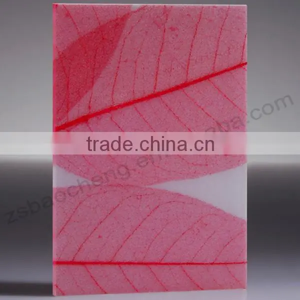Wholesale Factory Price Portable Translucent Partition Panel photo-2