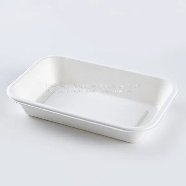 New Hot Disposable Biodegradable 24OZ TRAY Bagasse Food Box Take Away Sugarcane Container photo-2
