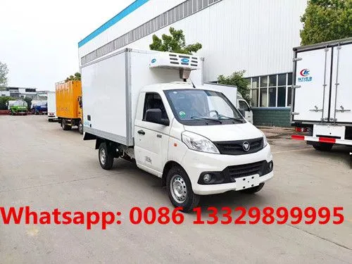 Cheapest Price Gasoline Engine FOTON V1 Refrigerated Minivan 1T Loading Capacity for Sale photo-3