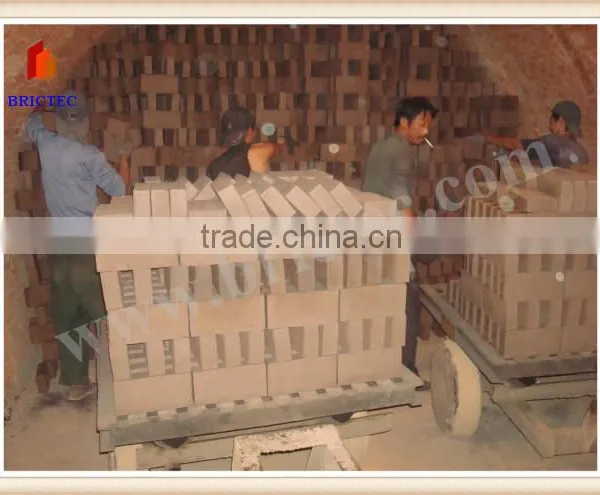 Auto Linea de Produccion de Ladrillo Con Horno Automatic Hollow Brick Making Machine photo-4