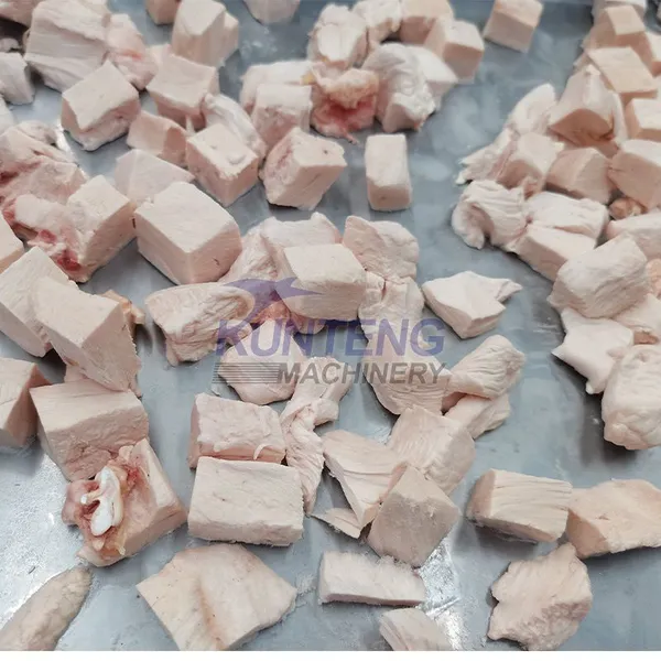 Milk Banana Coffee Fish Milk Powder Food Pet Snacks Vacuum Lyophilizer Freeze Dryer EPC photo-3