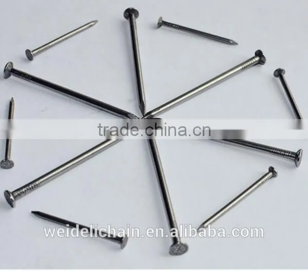 Galvanized Concrete Nail/Common Wire Nail / Roofing Nails photo-4