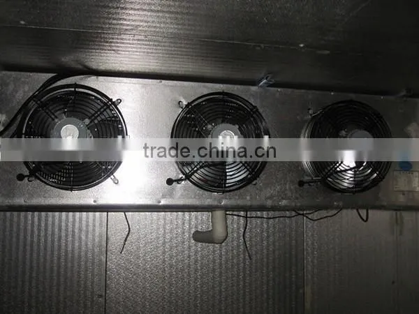 Walk-in Freezer Chiller Room photo-6