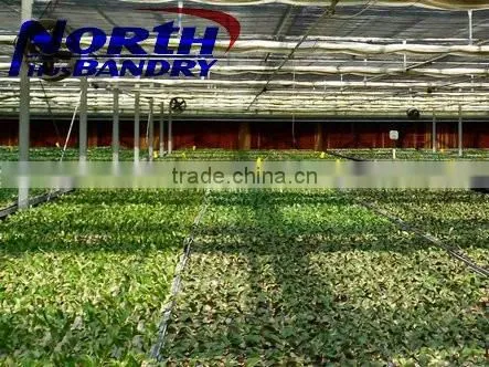 7090/6090/5090 Best-selling Evaporative Cooler Pad/ Evaporative Cooling Pad for Air Cooler or Poultry Farm photo-5