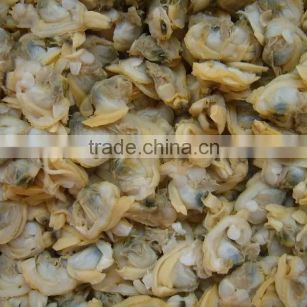 Multi-Language Sites Frozen Short Neck Clam With Shell Frozen Short Neck Clam With Shell Frozen Short Neck Clam With Shell Froz photo-3