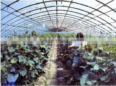 High Quality Transparent Greenhouse Film , Agricultural Film, Farm Film photo-2