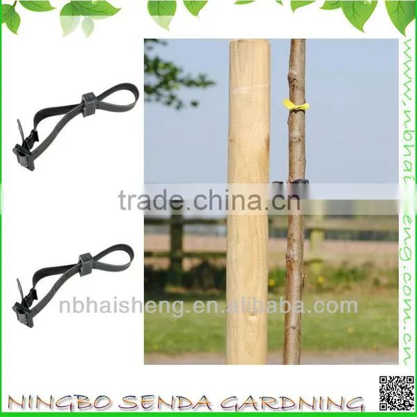 Easy Used Buckle Tree Ties