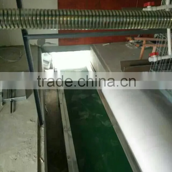 pp Manure Conveyor Belts Poultry Farm photo-2
