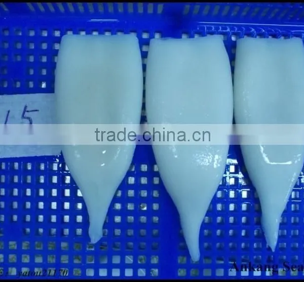 Illex Frozen Squid Tube IQF Factory photo-5