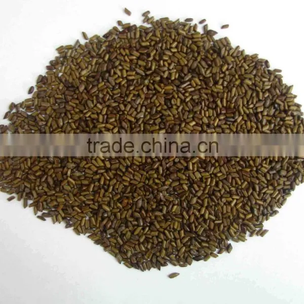 Best Jue Ming Zi in Chinese Cassia Tora Seed, Cassia Tora Seeds photo-3