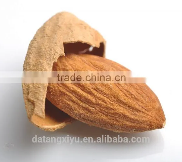 Chinese Badam Almond in Shell With QS Standard photo-5